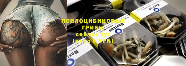 ешки Абинск