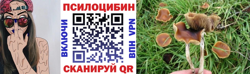 omg вход  Тихорецк  Галлюциногенные грибы GOLDEN TEACHER 