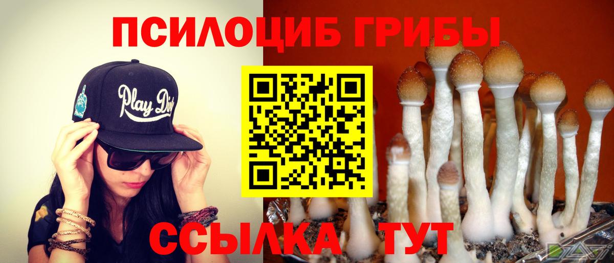 Галлюциногенные грибы мухоморы  купить наркоту  Тихорецк  Галлюциногенные грибы Cubensis  Вход с VPN 